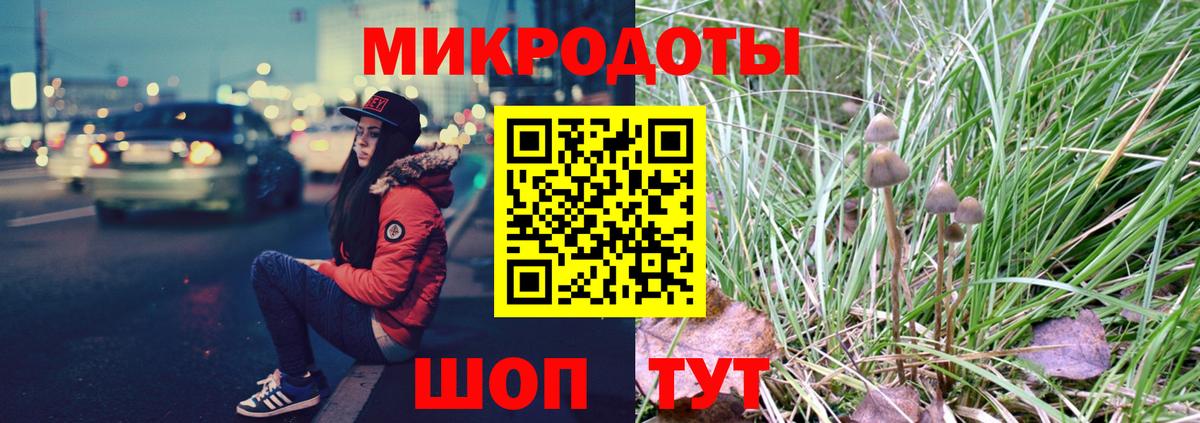 Галлюциногенные грибы Psilocybe Коммунар
