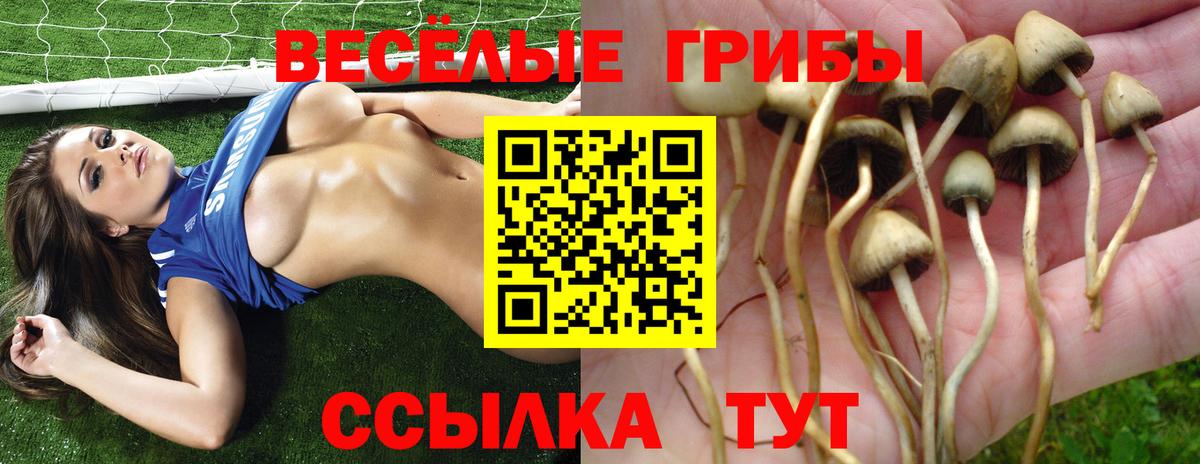 Галлюциногенные грибы прущие грибы  Вход с VPN  Коммунар 
