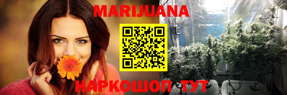 Конопля конопля  Бошки Шишки тримм  Вход с VPN  Коммунар  Конопля сатива 